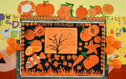 ORANGE DAY-PRE.KG