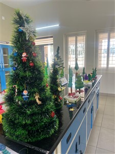 WhatsApp-Image-2025-11-28-at-10.03.05-AM-1