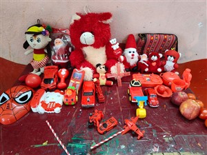 WhatsApp-Image-2025-12-08-at-1.34.12-PM